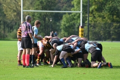 DSC_1097